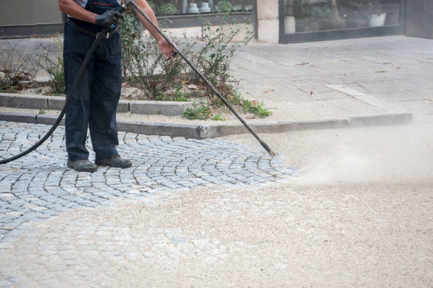 Trusted Geneva, IN Pressure Washing Services Experts